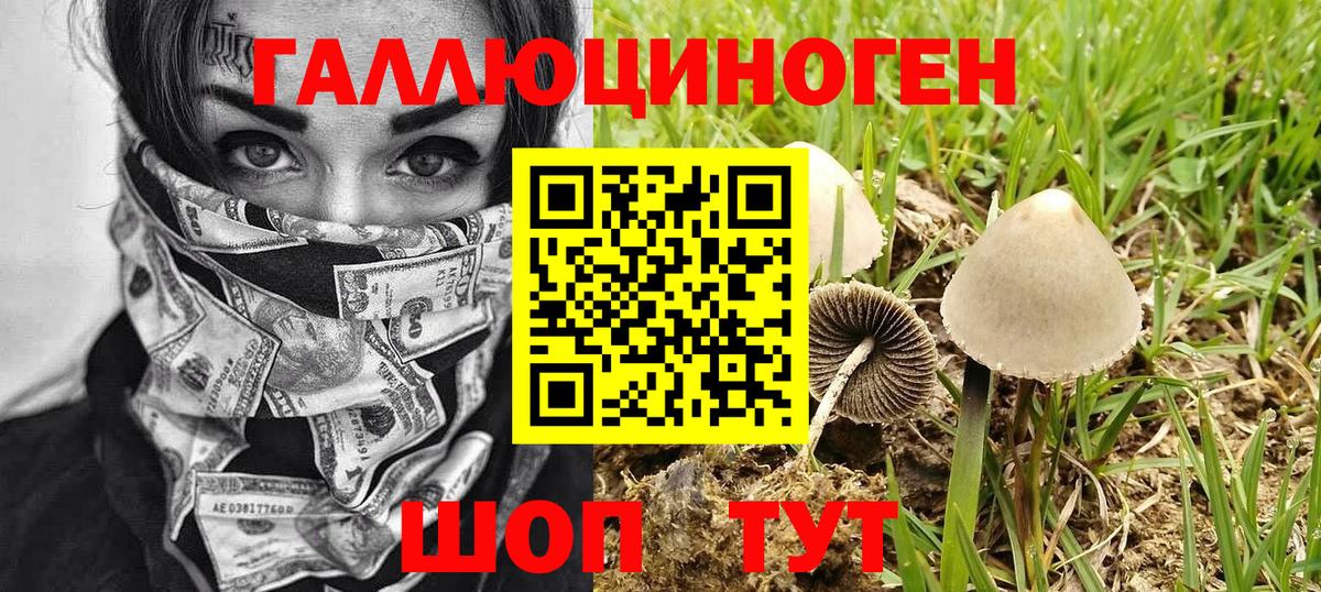 Галлюциногенные грибы Magic Shrooms Дербент