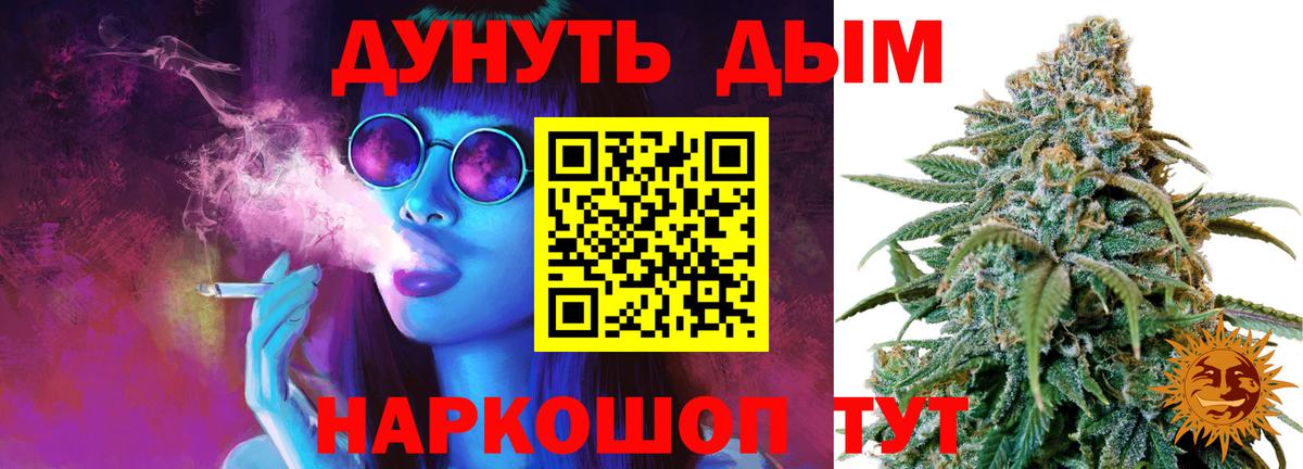 Марихуана сатива Дербент